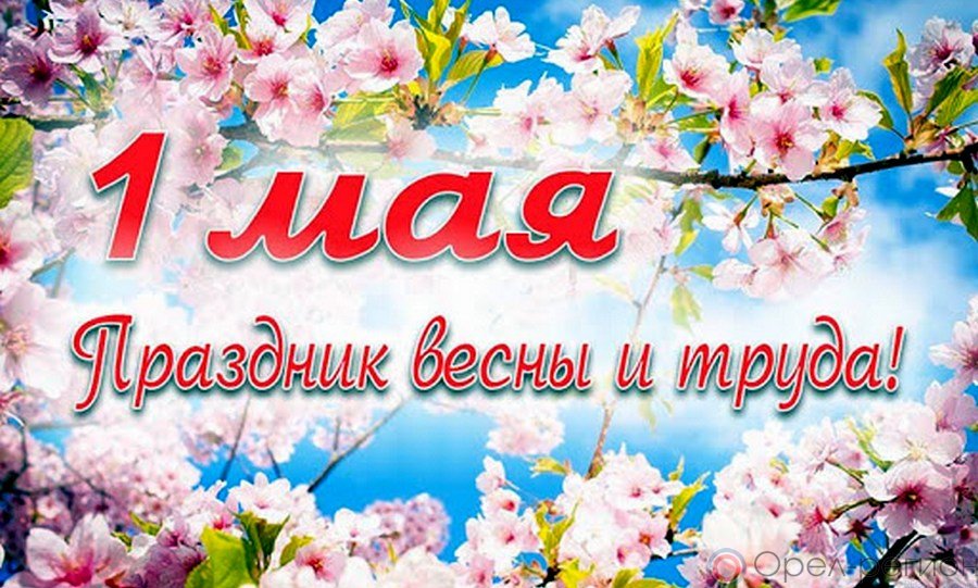 f61ea02770aac233e4ec9d5efef04b29.jpg
